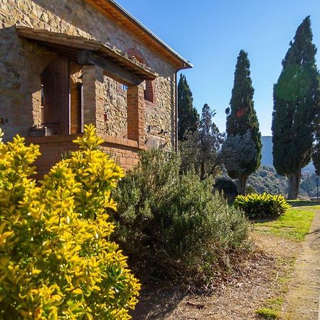 Agriturismo Le Vignacce Villa Santa Luce Esterno foto