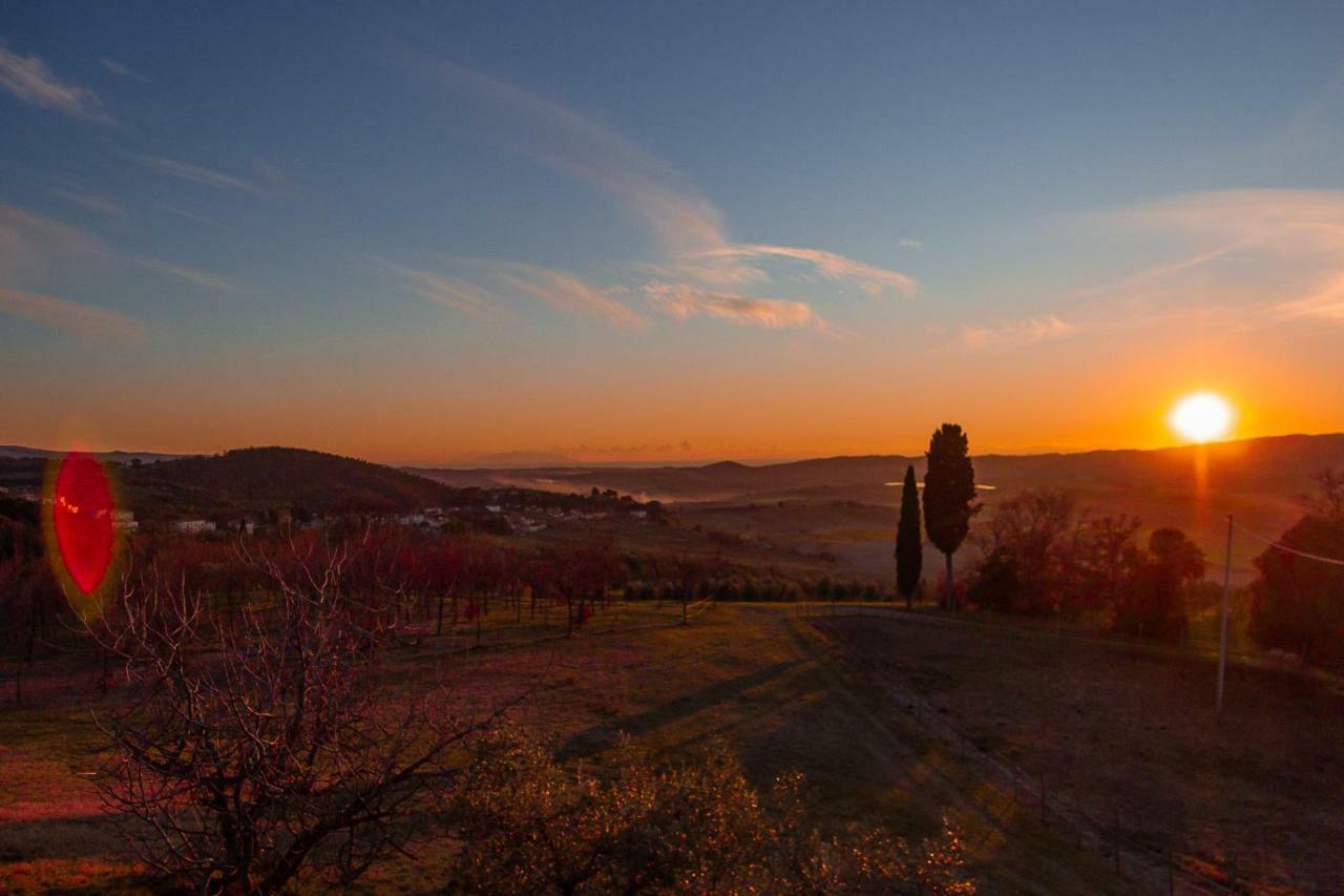 Agriturismo Le Vignacce Villa Santa Luce Esterno foto