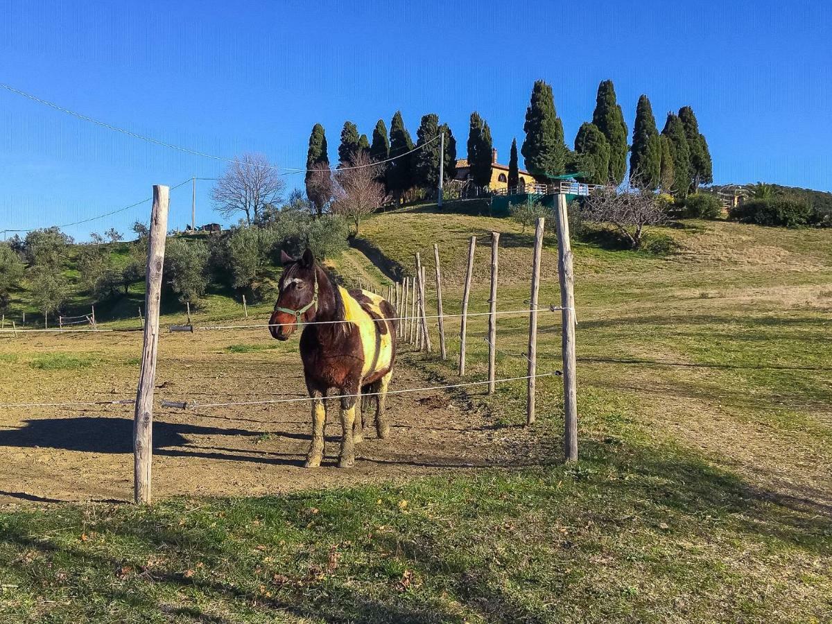 Agriturismo Le Vignacce Villa Santa Luce Esterno foto