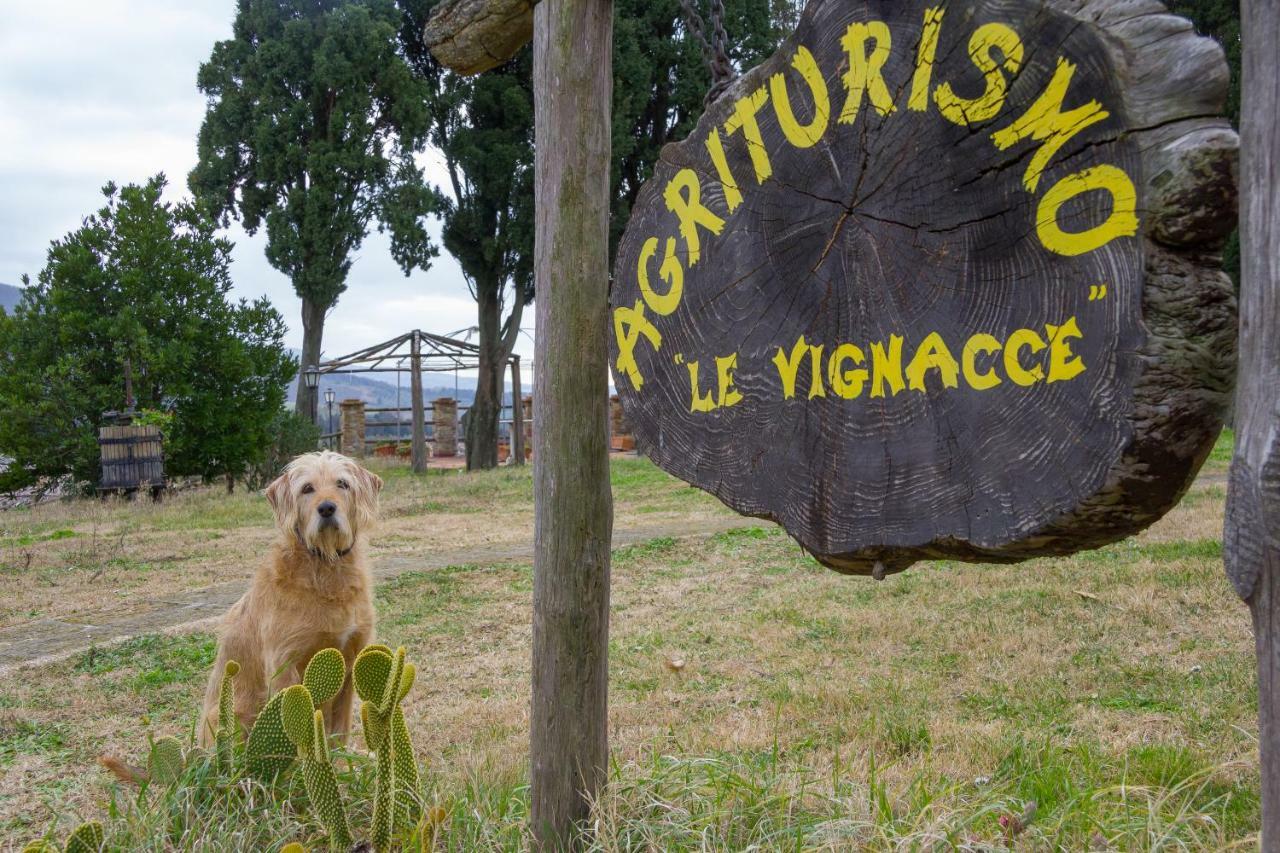 Agriturismo Le Vignacce Villa Santa Luce Esterno foto