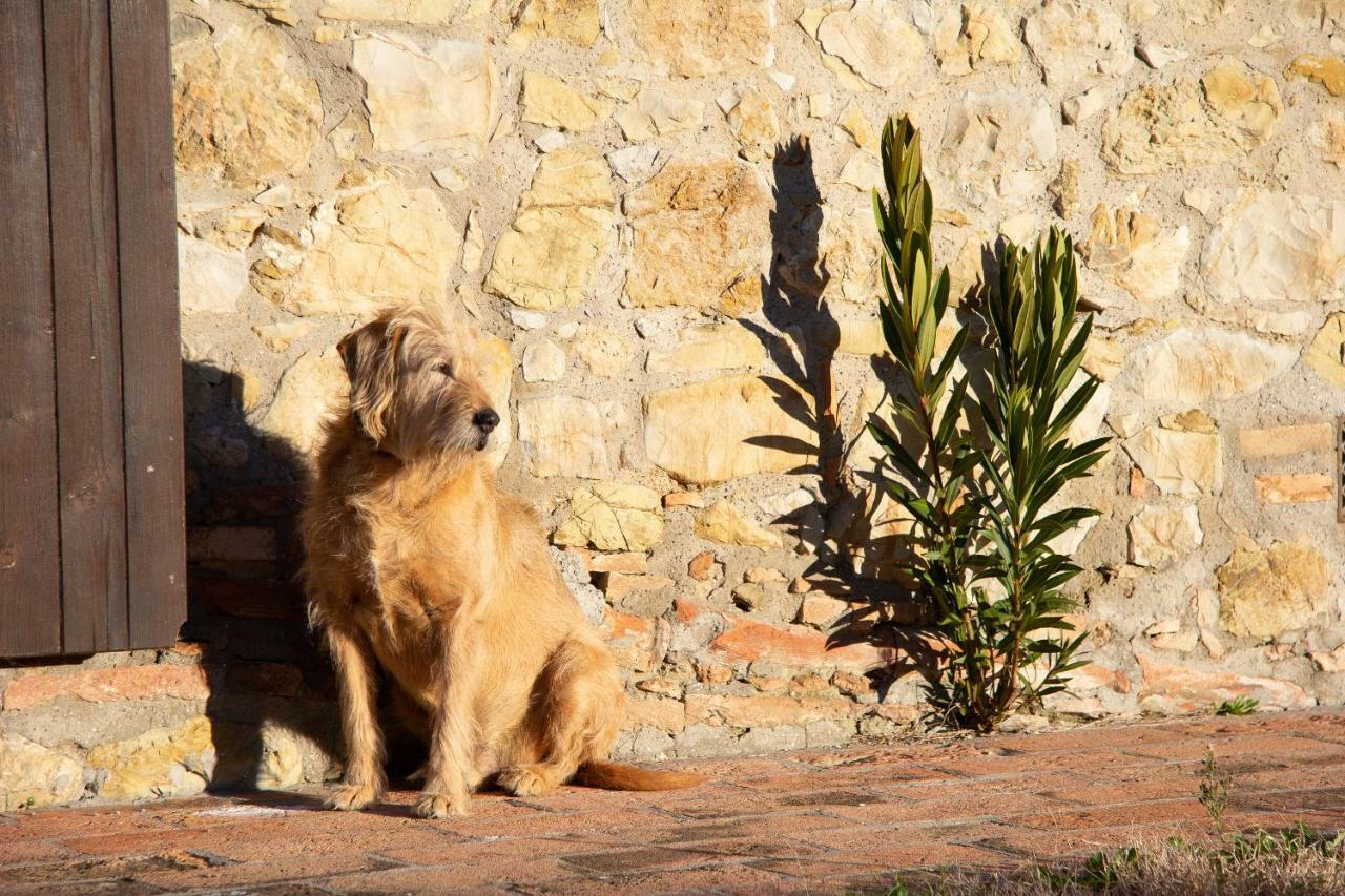 Agriturismo Le Vignacce Villa Santa Luce Esterno foto
